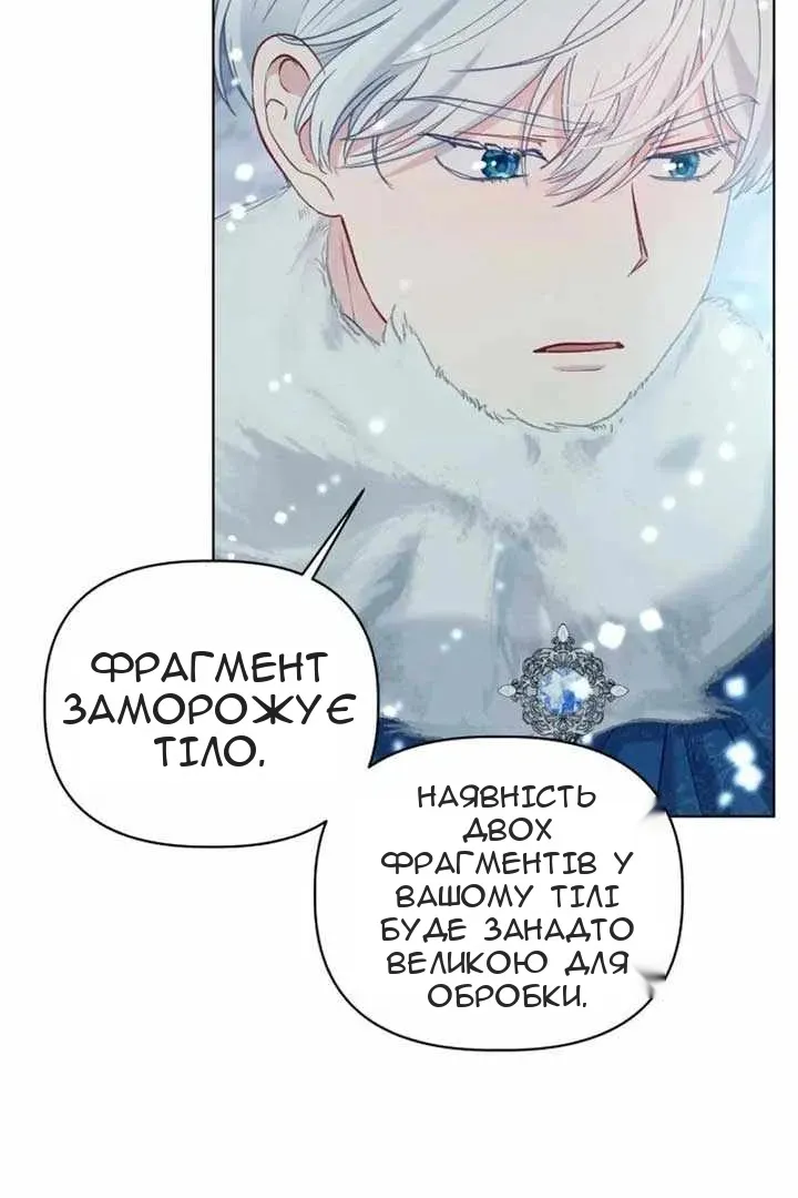 Сторінка 40
