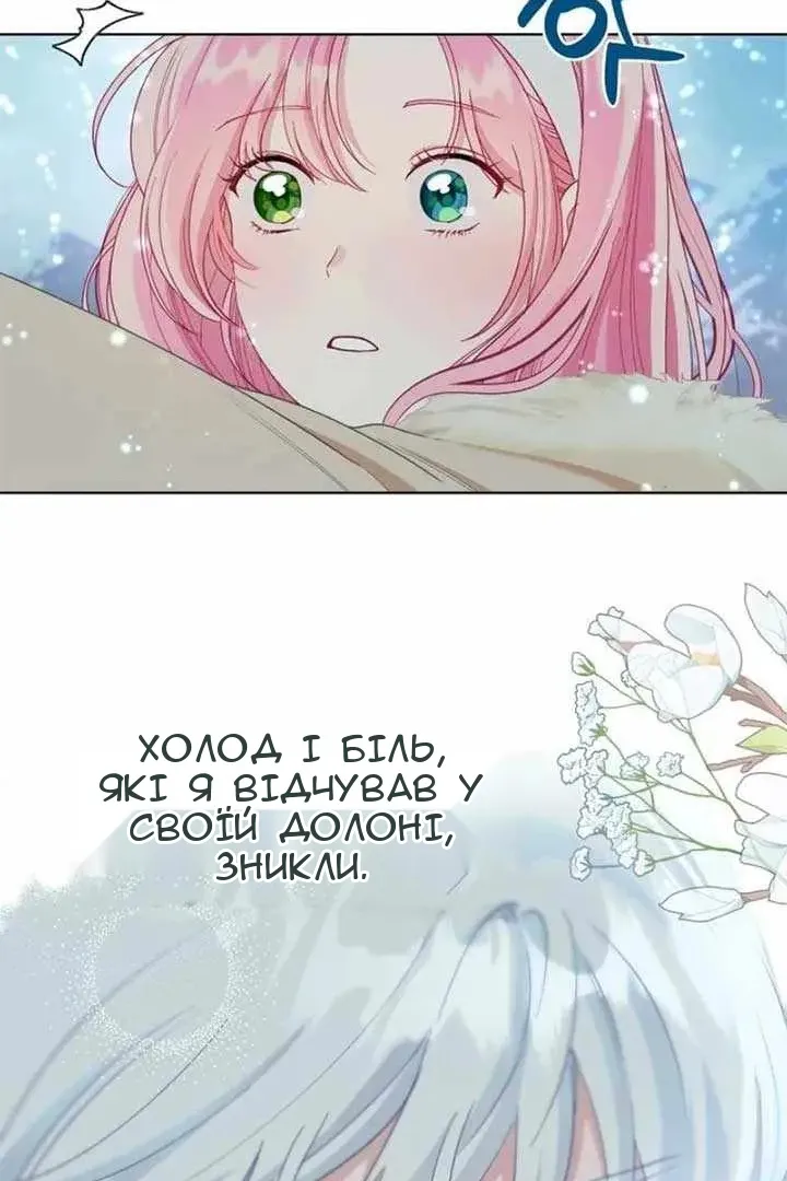 Сторінка 48