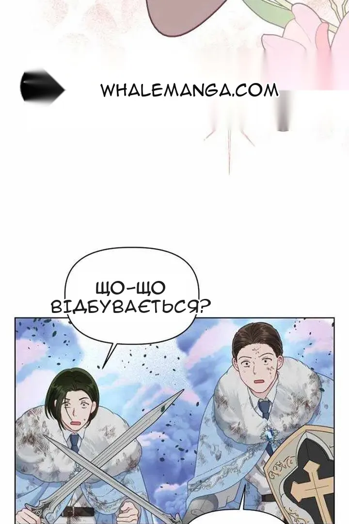 Сторінка 31