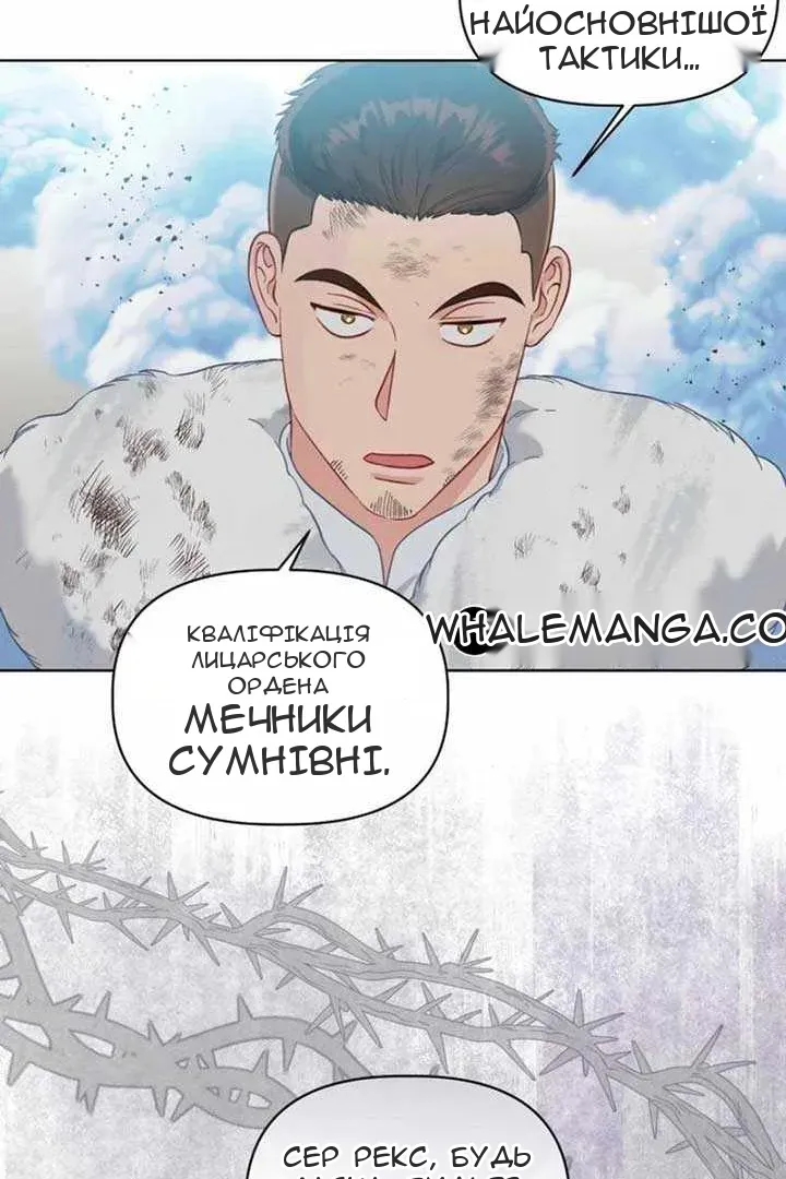 Сторінка 45