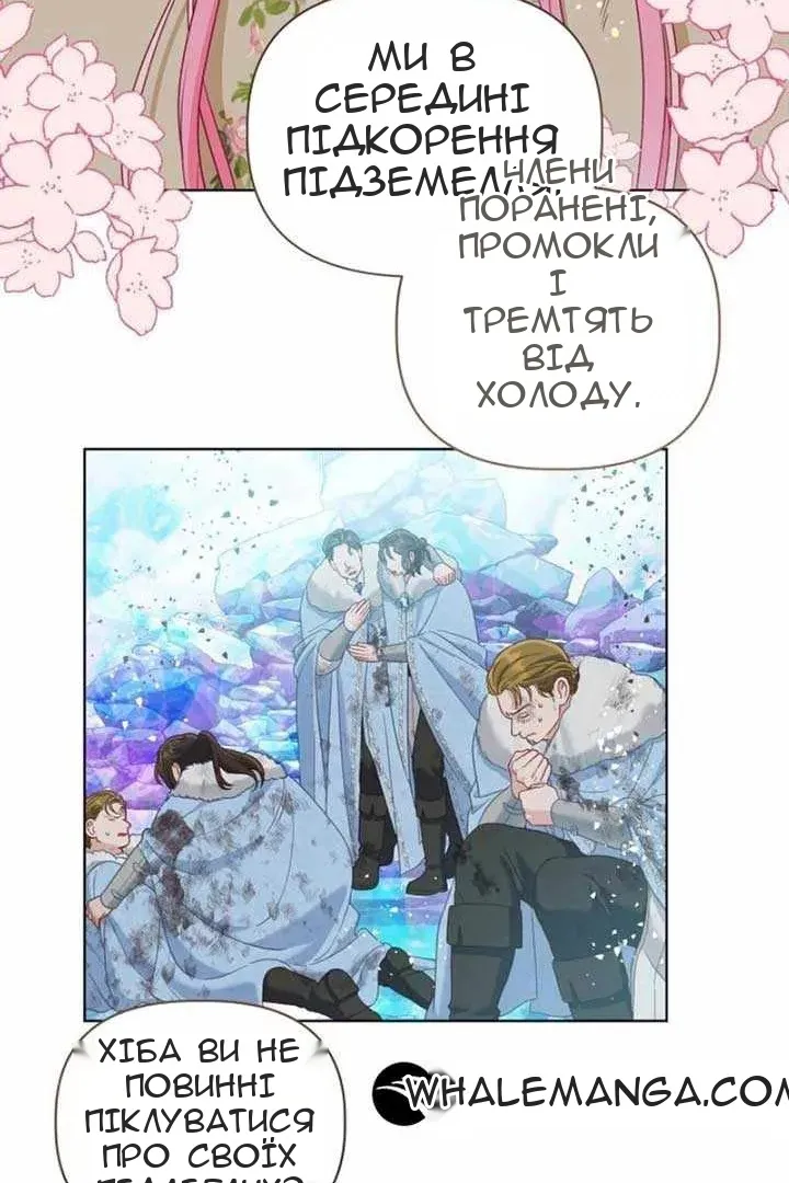 Сторінка 49