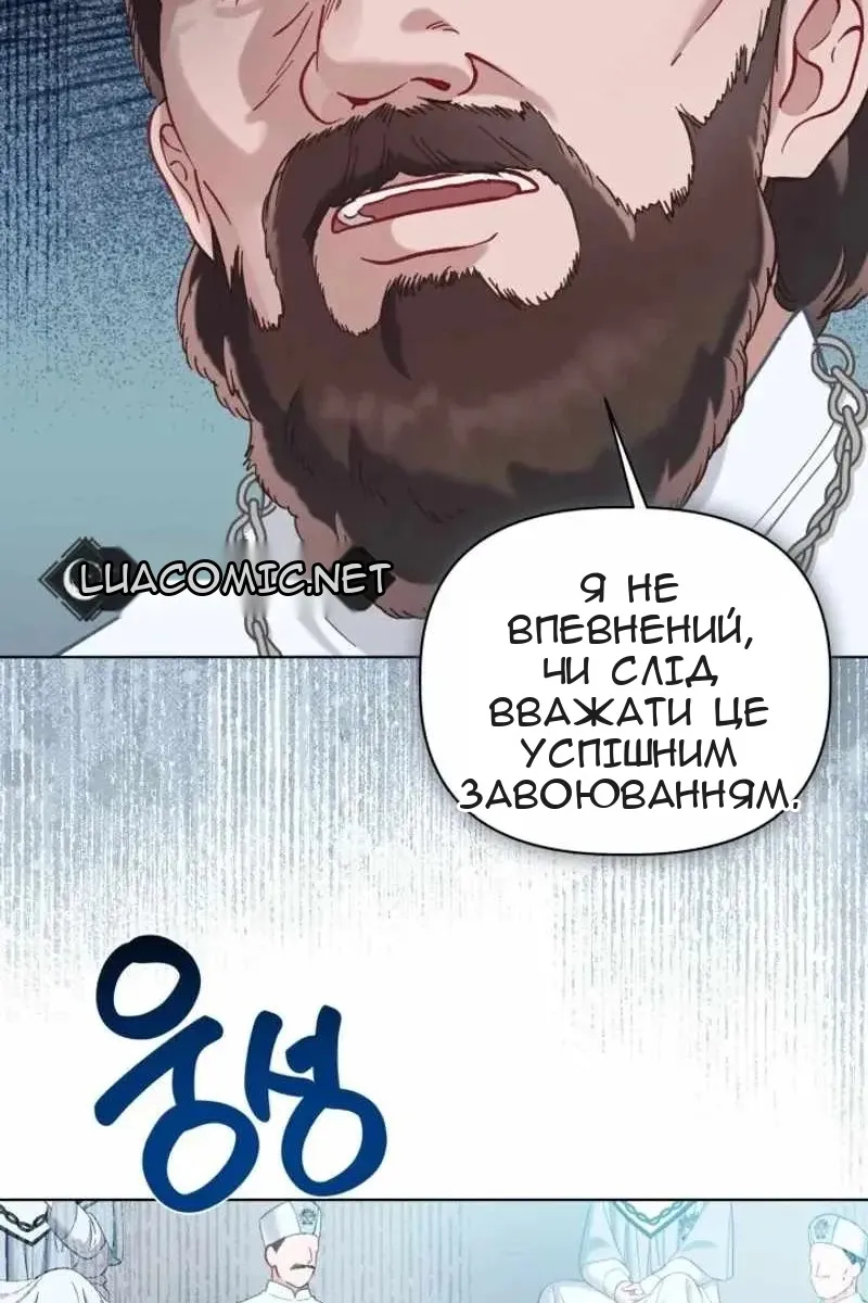 Сторінка 17