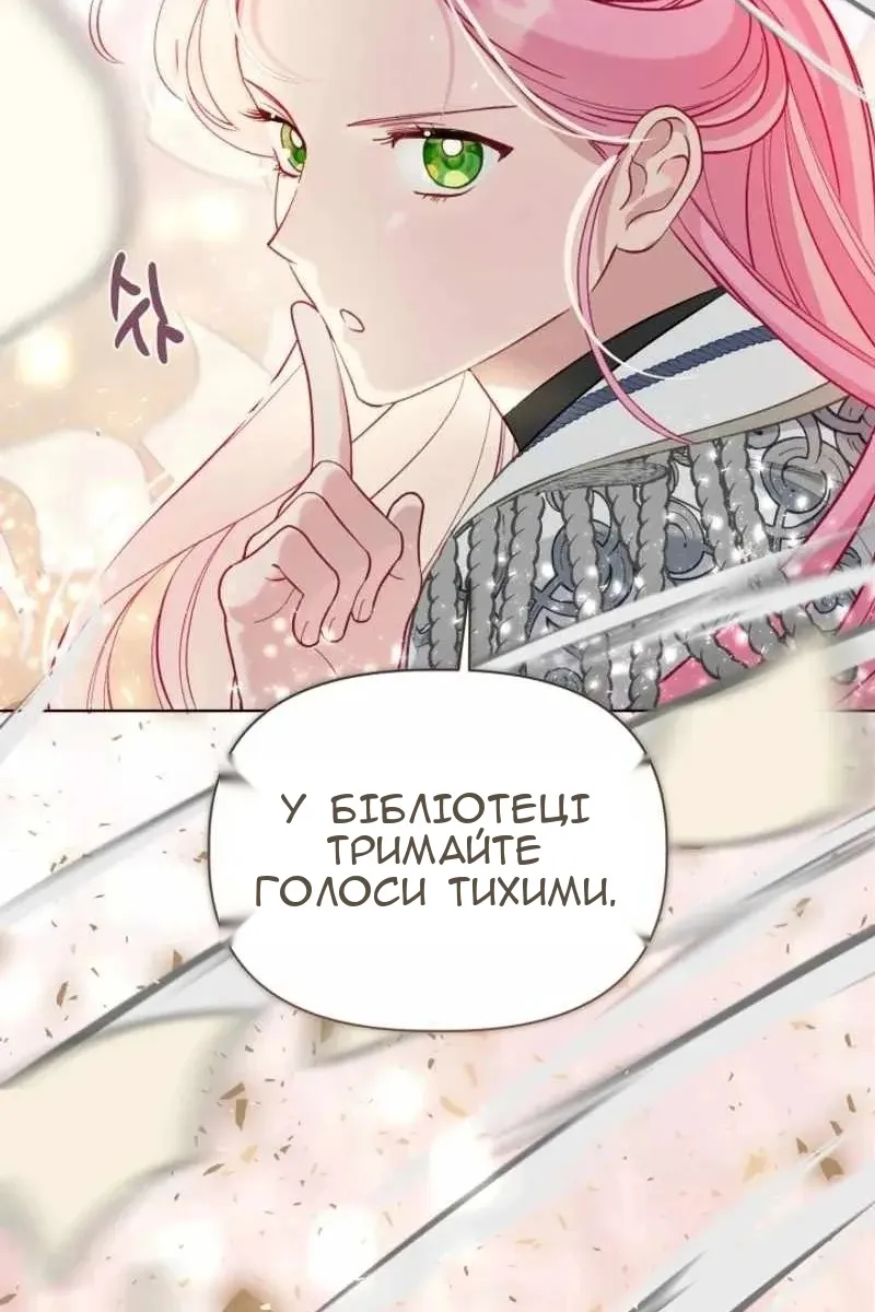 Сторінка 43