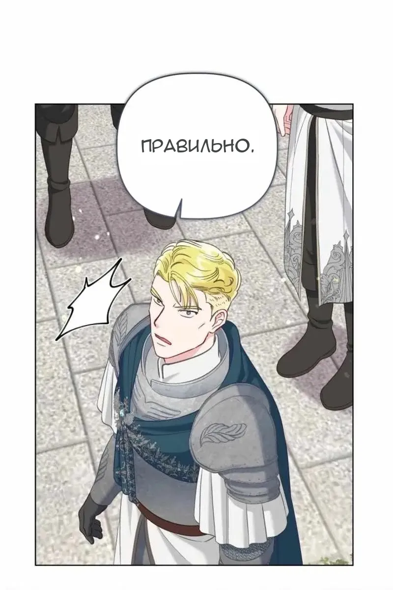 Сторінка 51