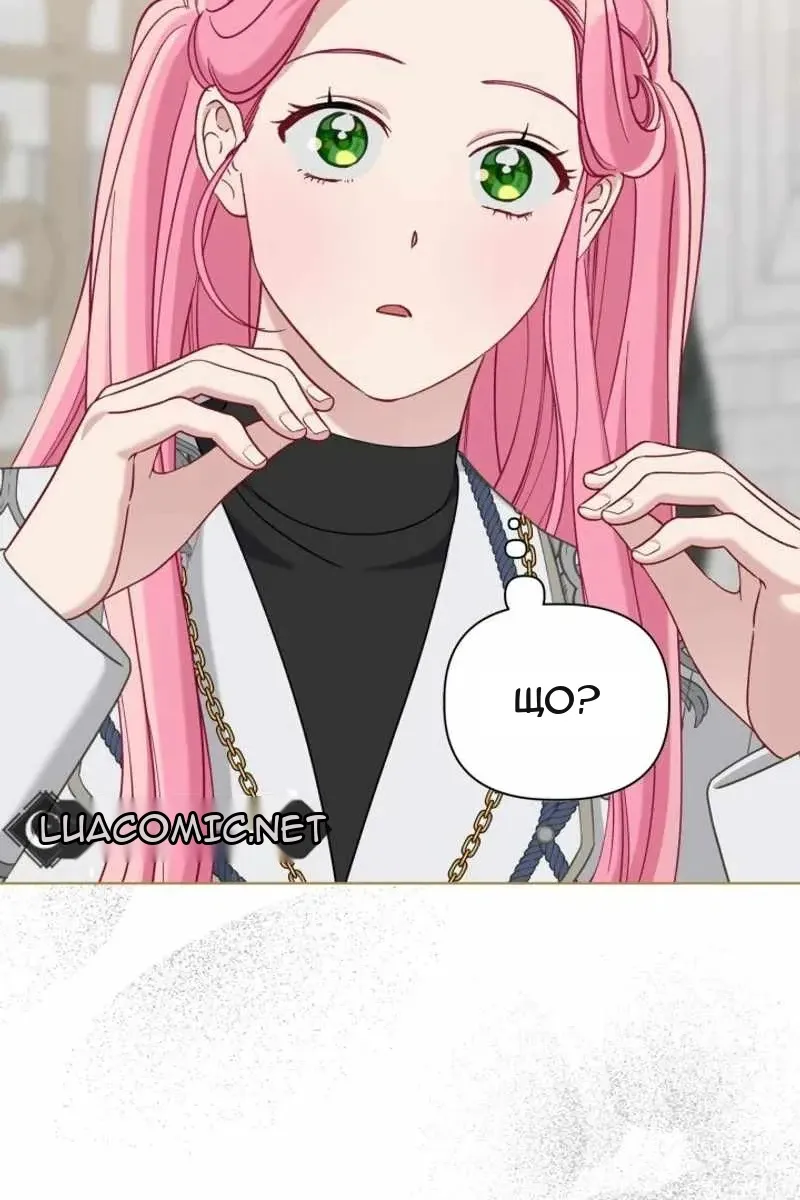 Сторінка 6