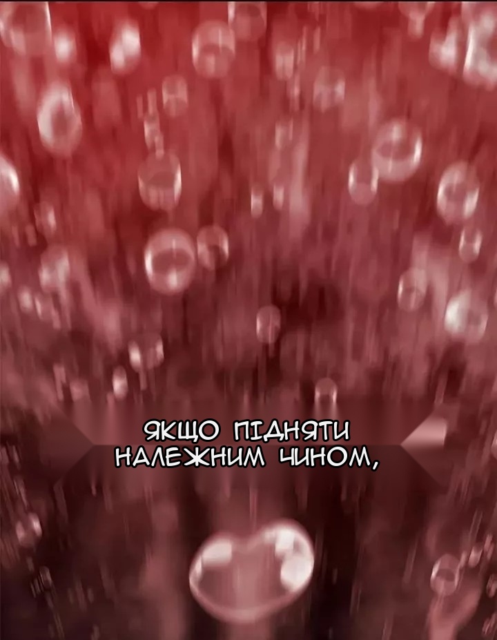 Сторінка 17