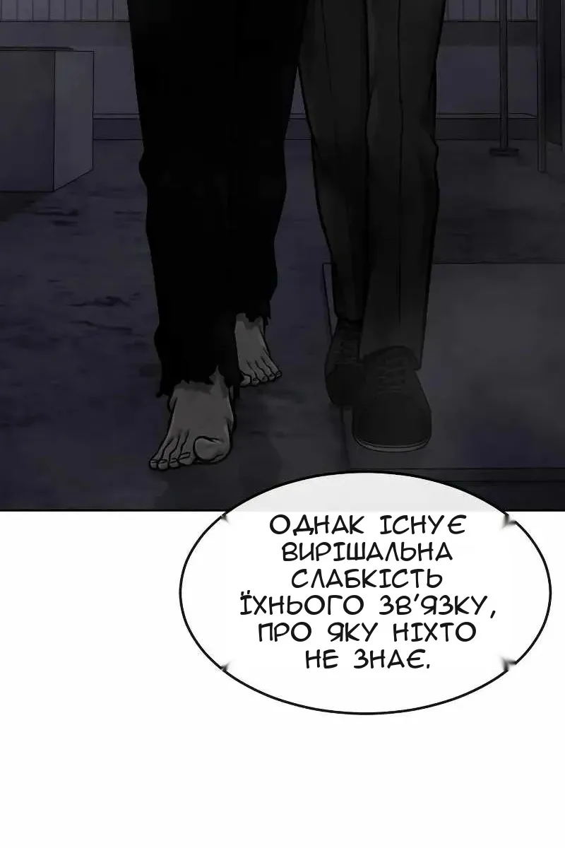 Сторінка 17