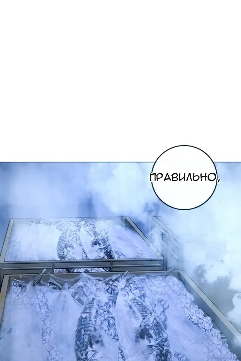 Сторінка 113