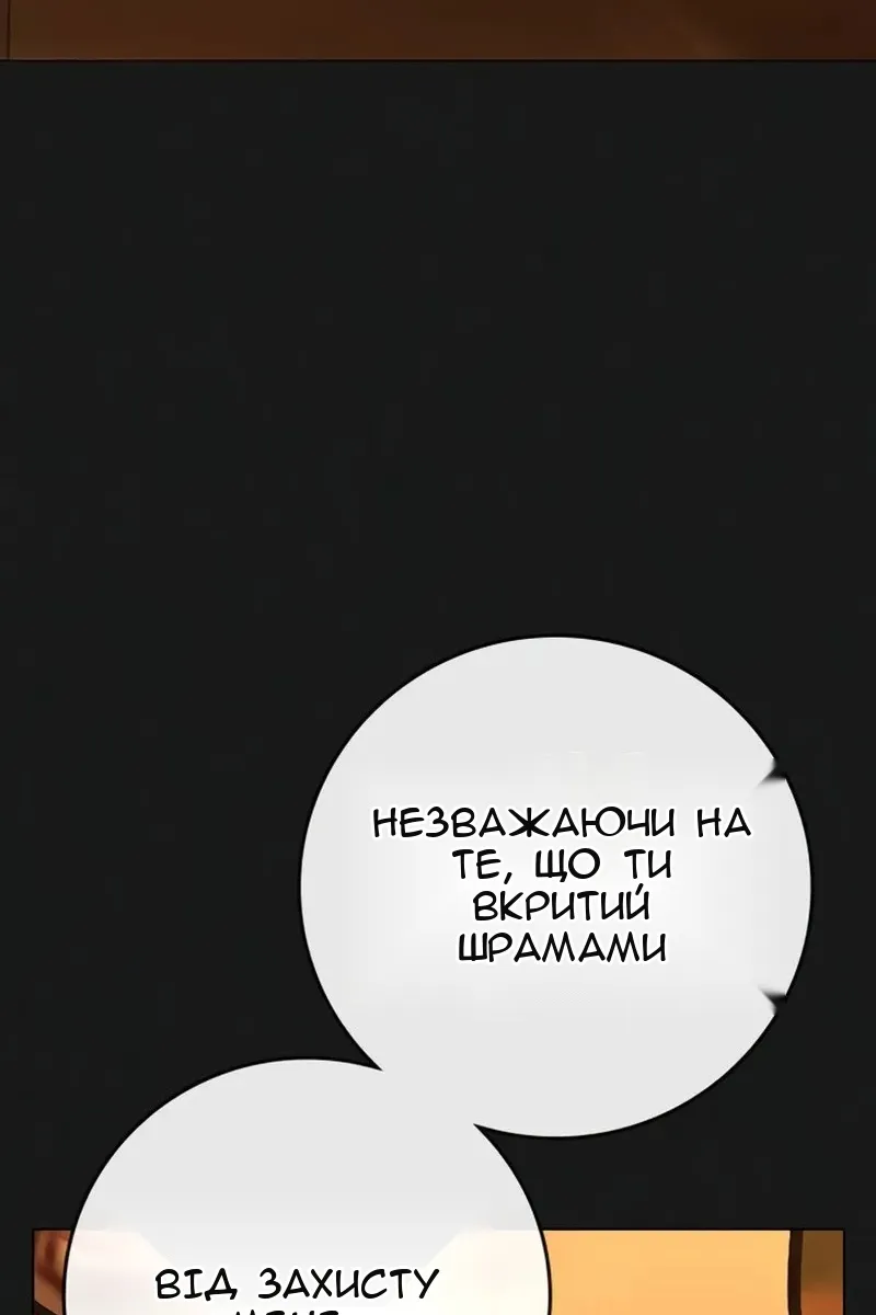 Сторінка 17