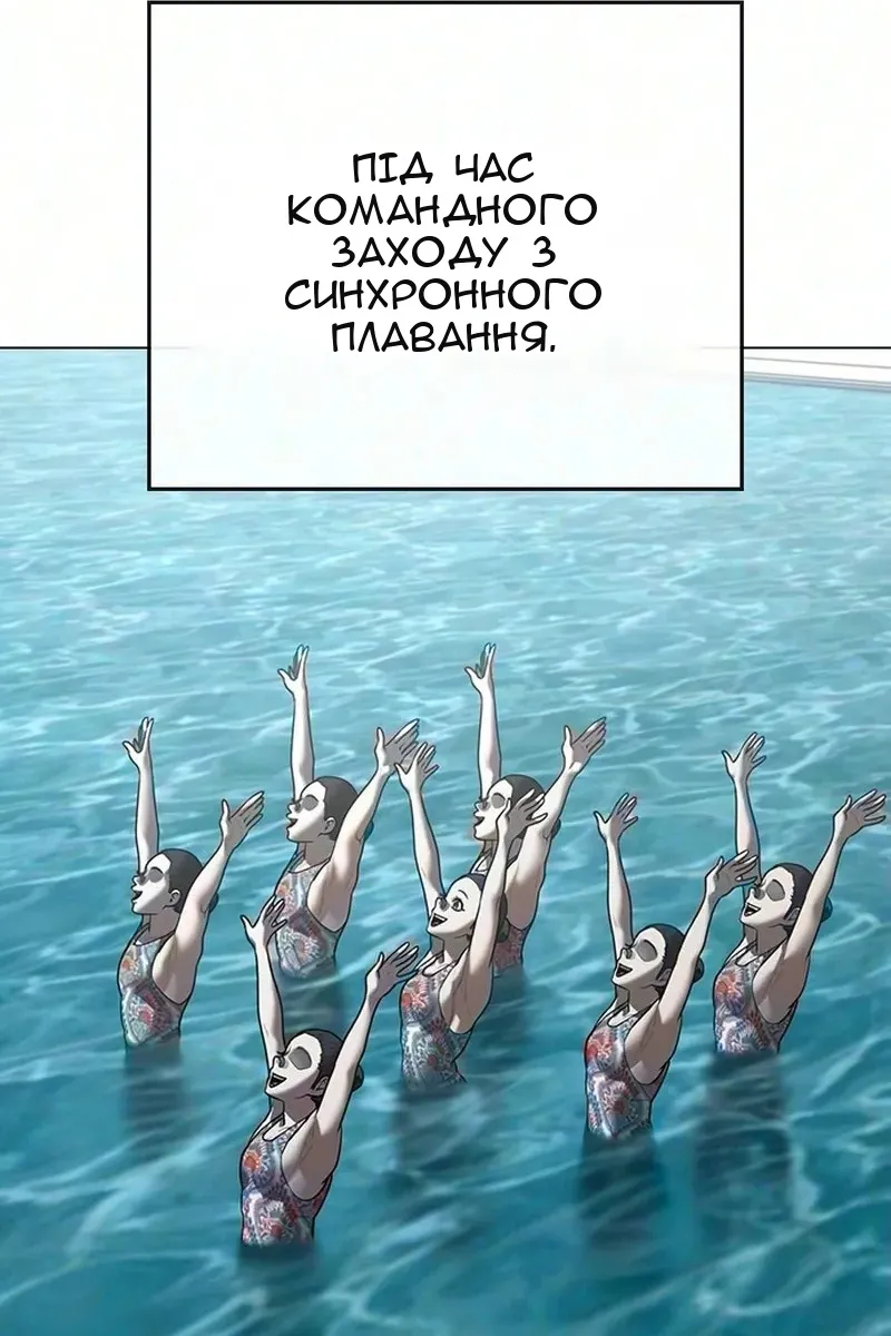Сторінка 17
