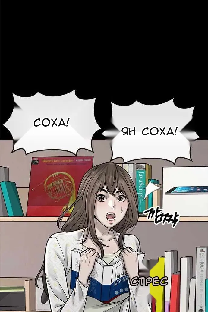 Сторінка 17