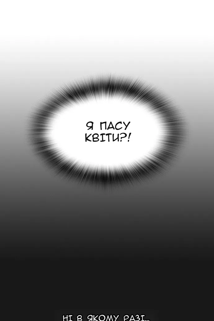 Сторінка 5