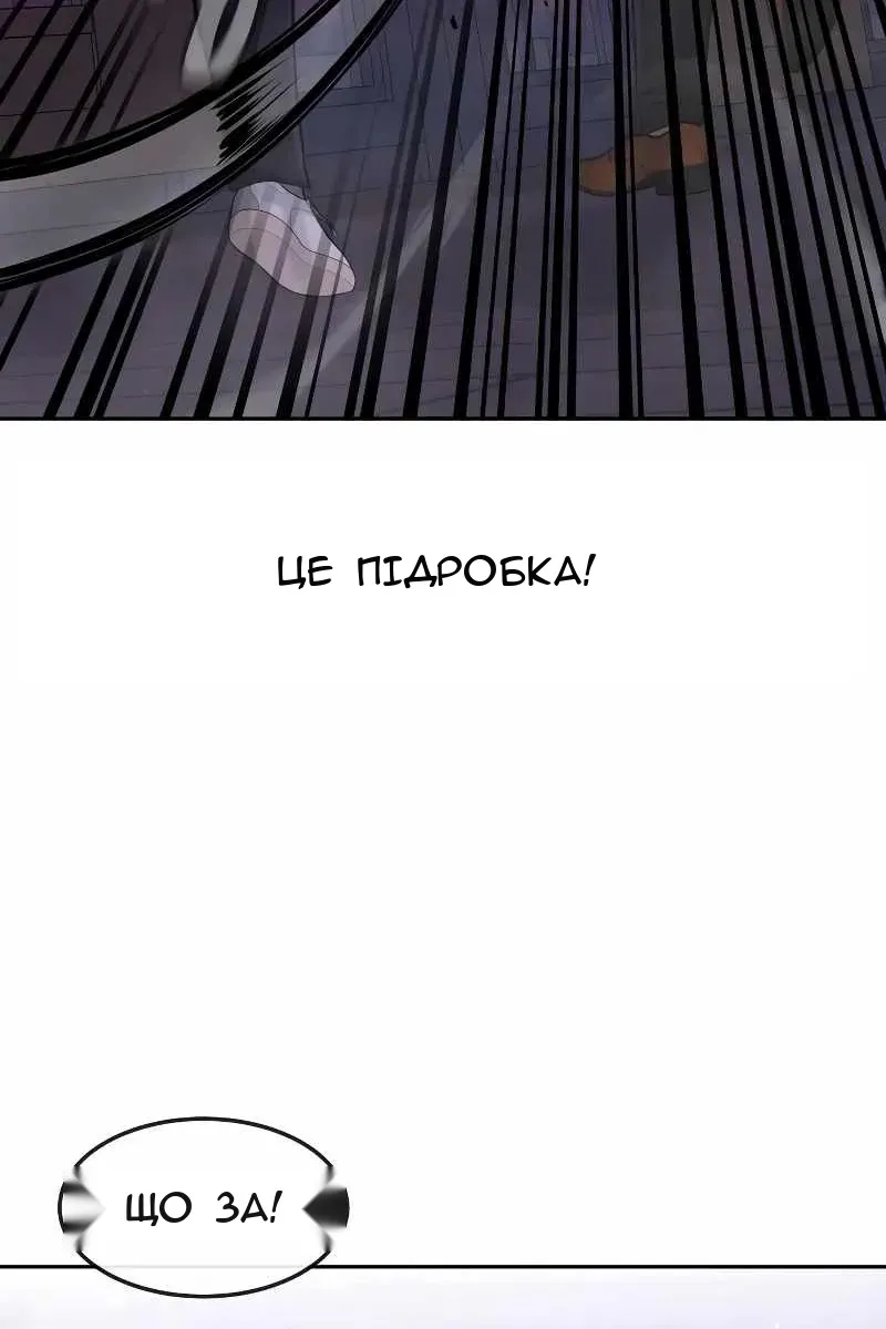 Сторінка 113