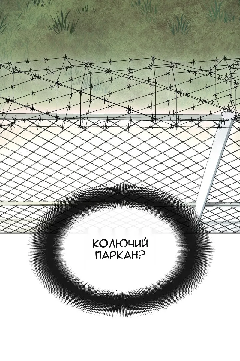 Сторінка 101