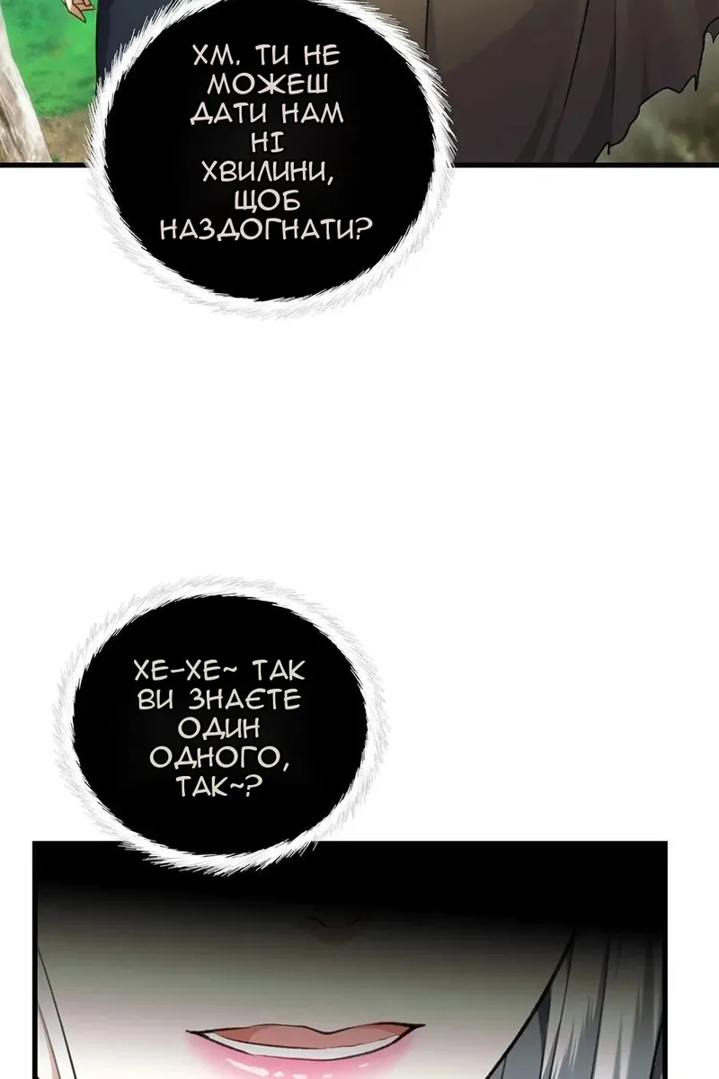 Сторінка 17