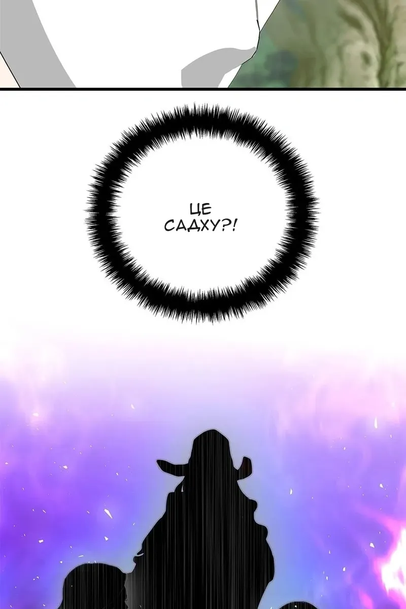 Сторінка 29