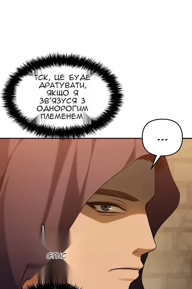 Сторінка 29