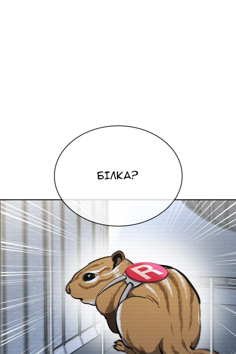 Сторінка 40