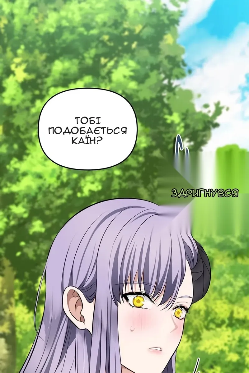 Сторінка 27