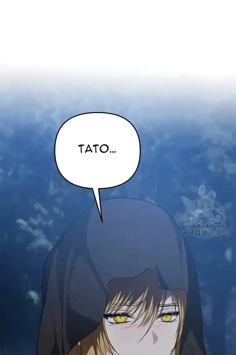 Сторінка 8