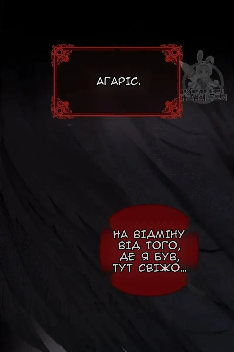 Сторінка 3