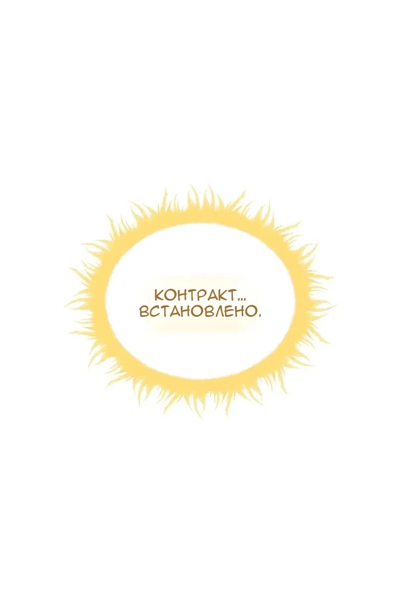Сторінка 11