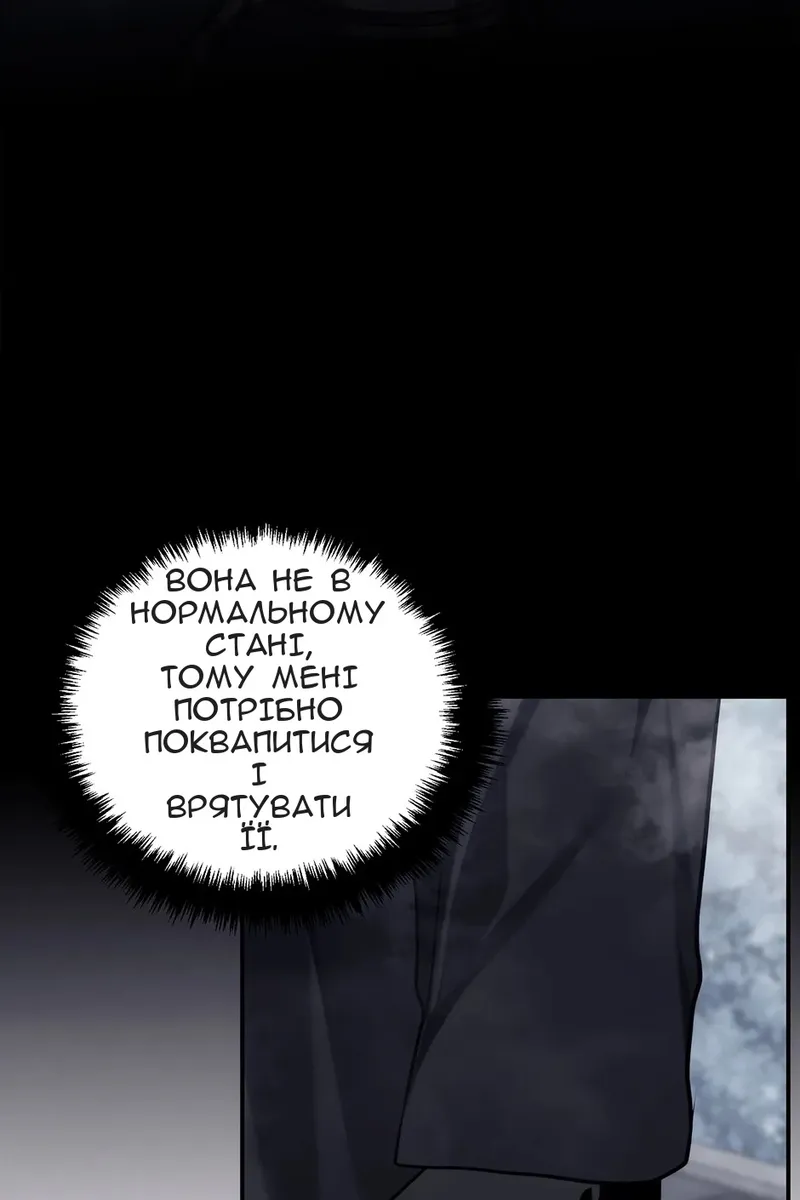 Сторінка 102