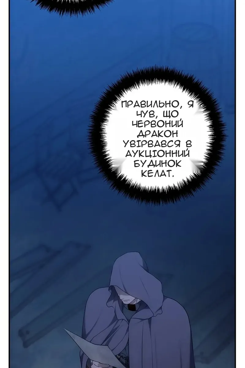 Сторінка 17