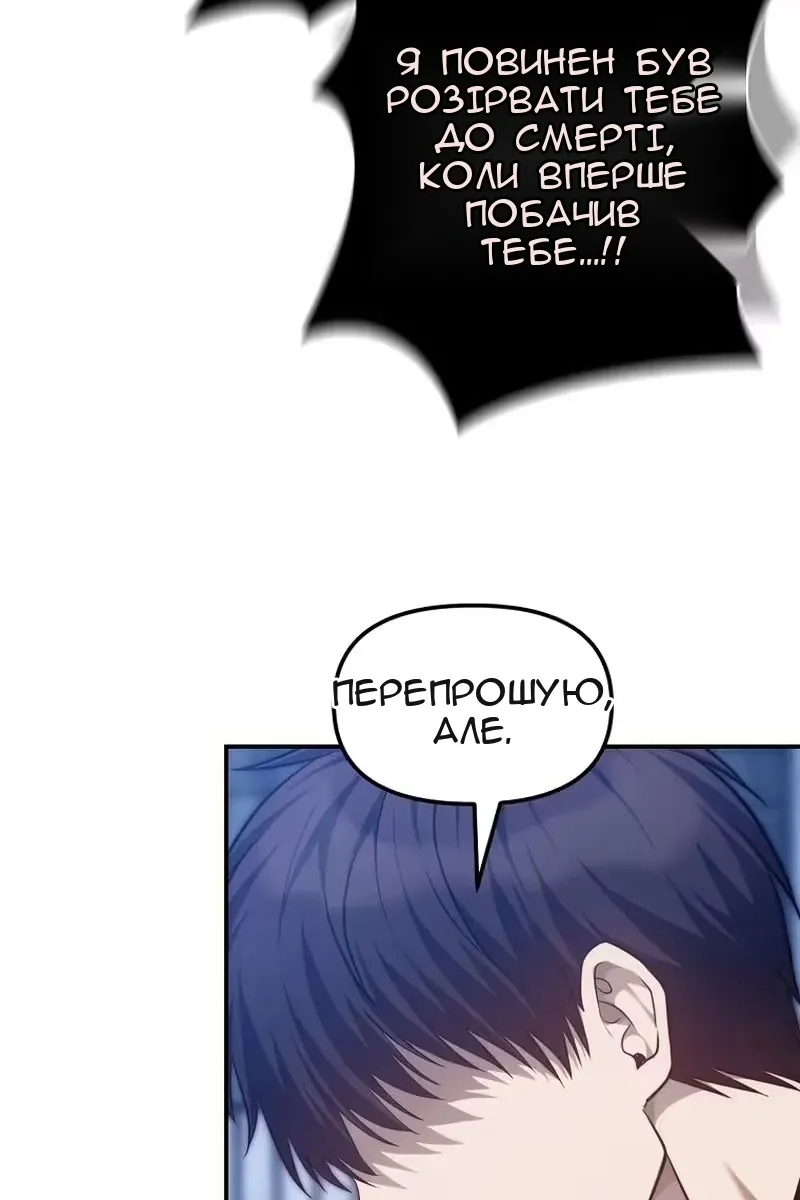 Сторінка 17