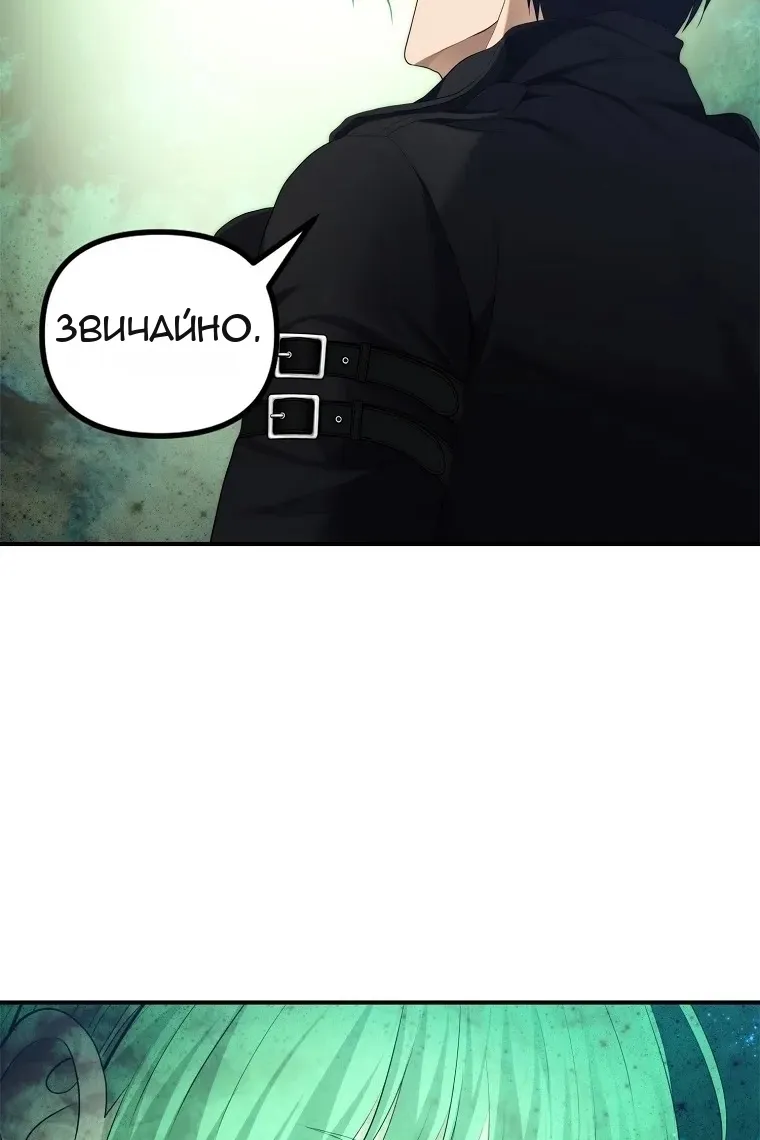 Сторінка 71