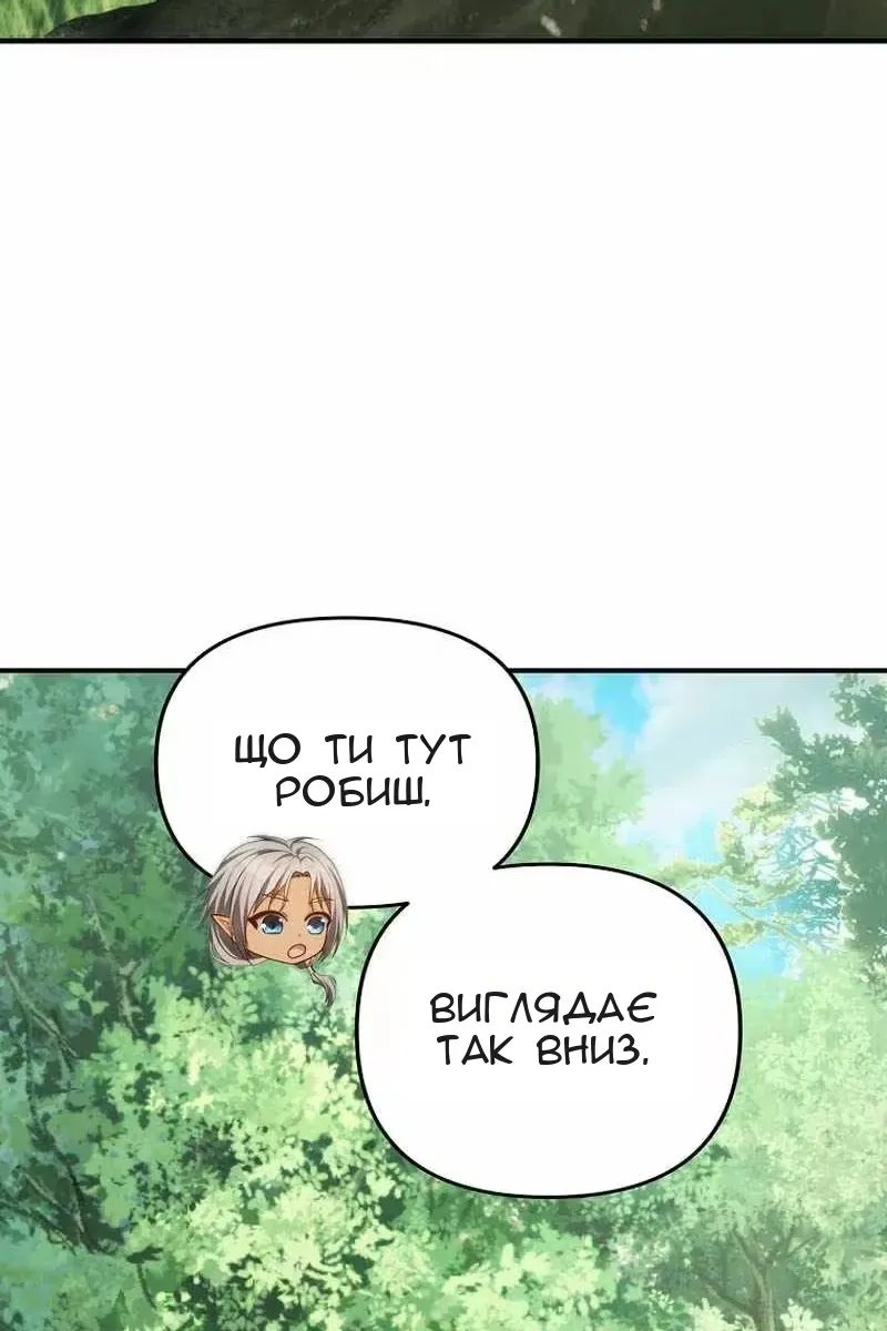 Сторінка 41