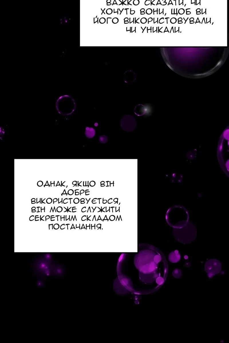 Сторінка 31