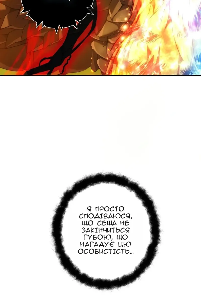 Сторінка 17