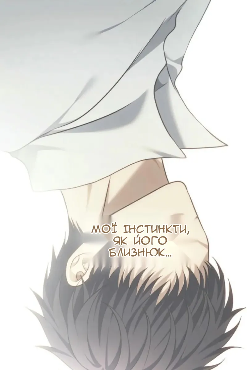 Сторінка 41