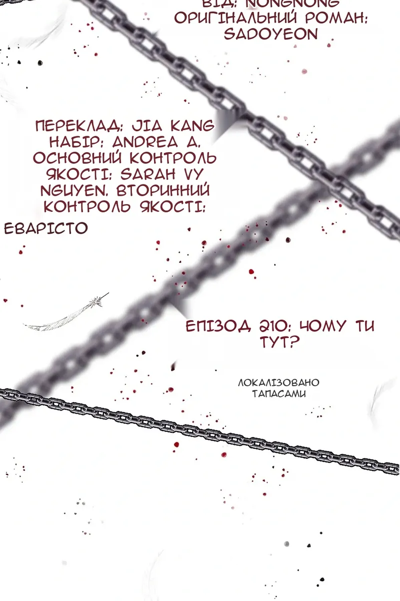 Сторінка 41