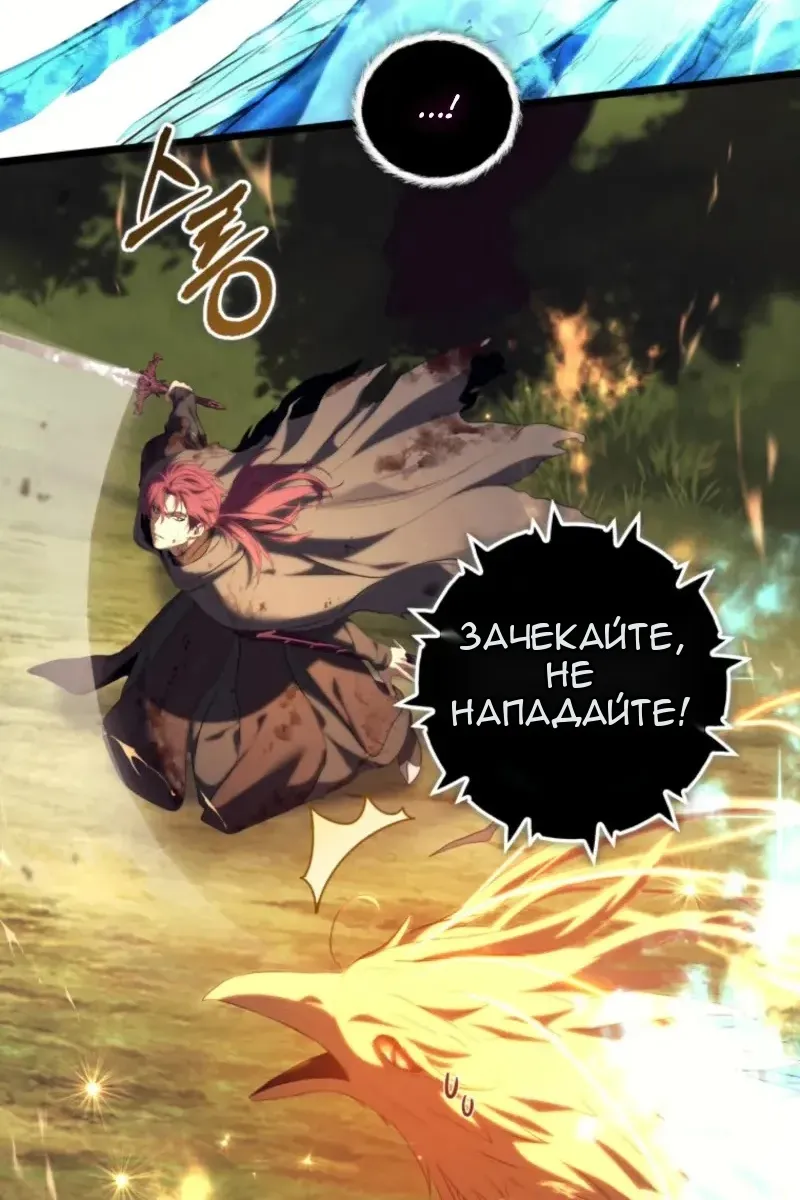 Сторінка 17