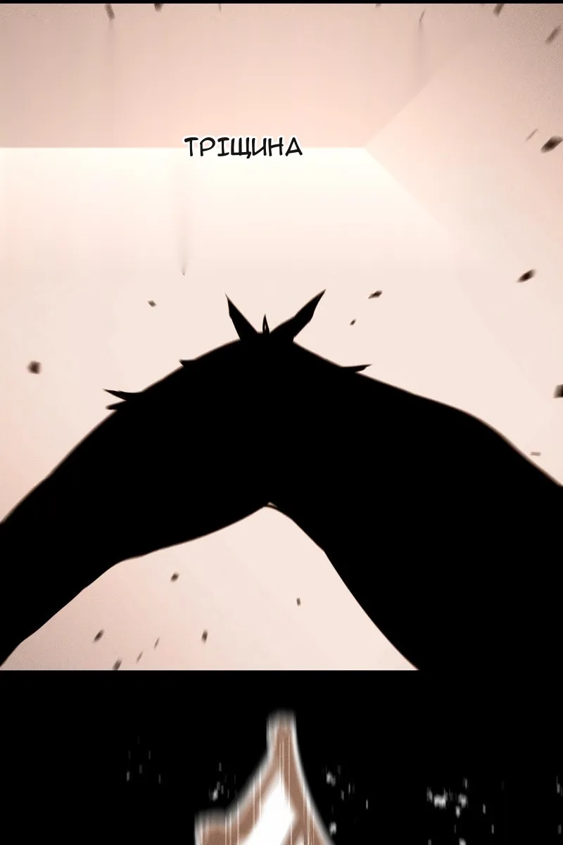 Сторінка 17