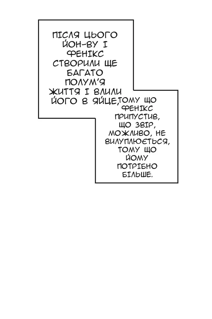 Сторінка 28