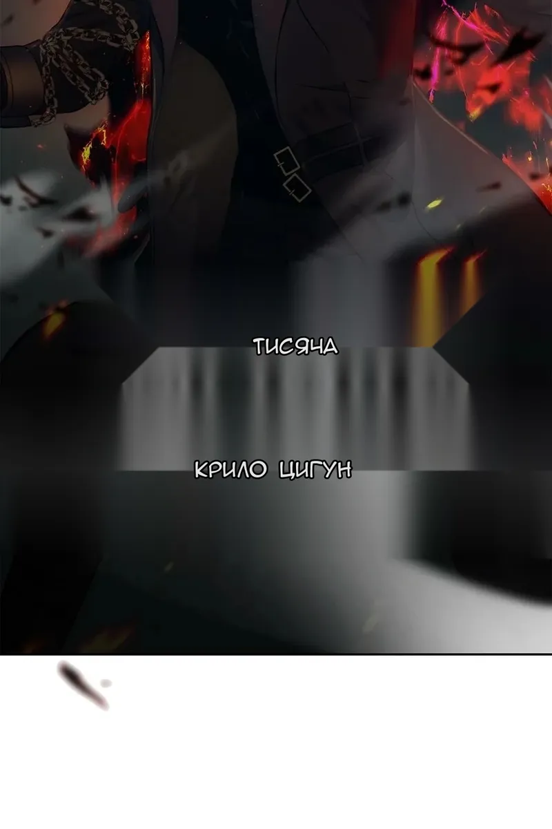 Сторінка 49