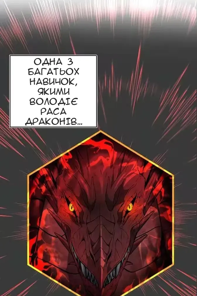 Сторінка 14