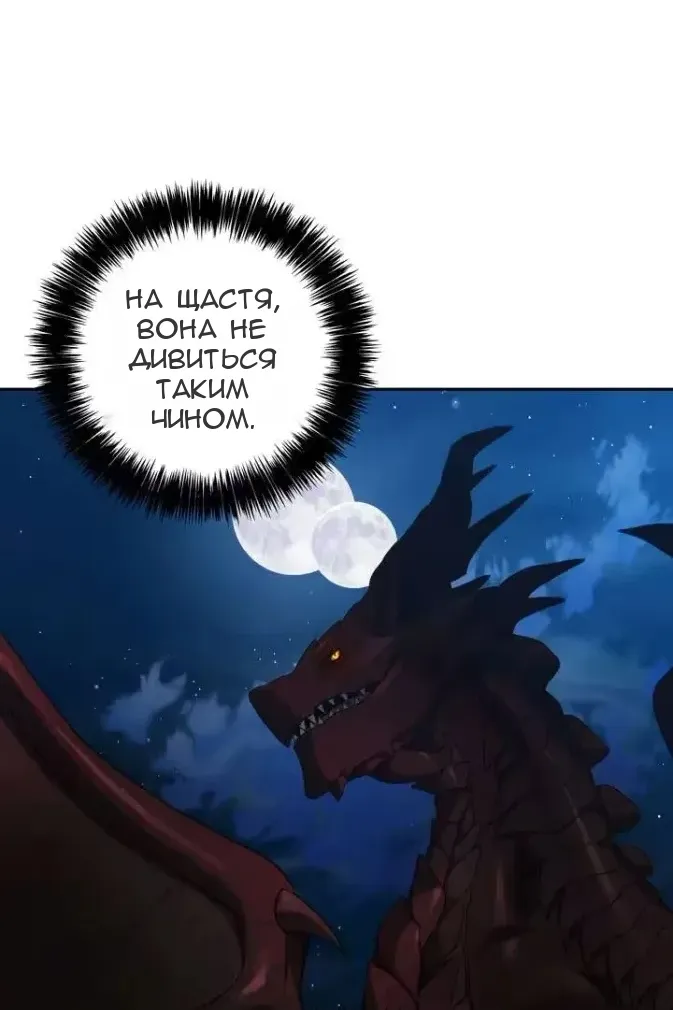Сторінка 17