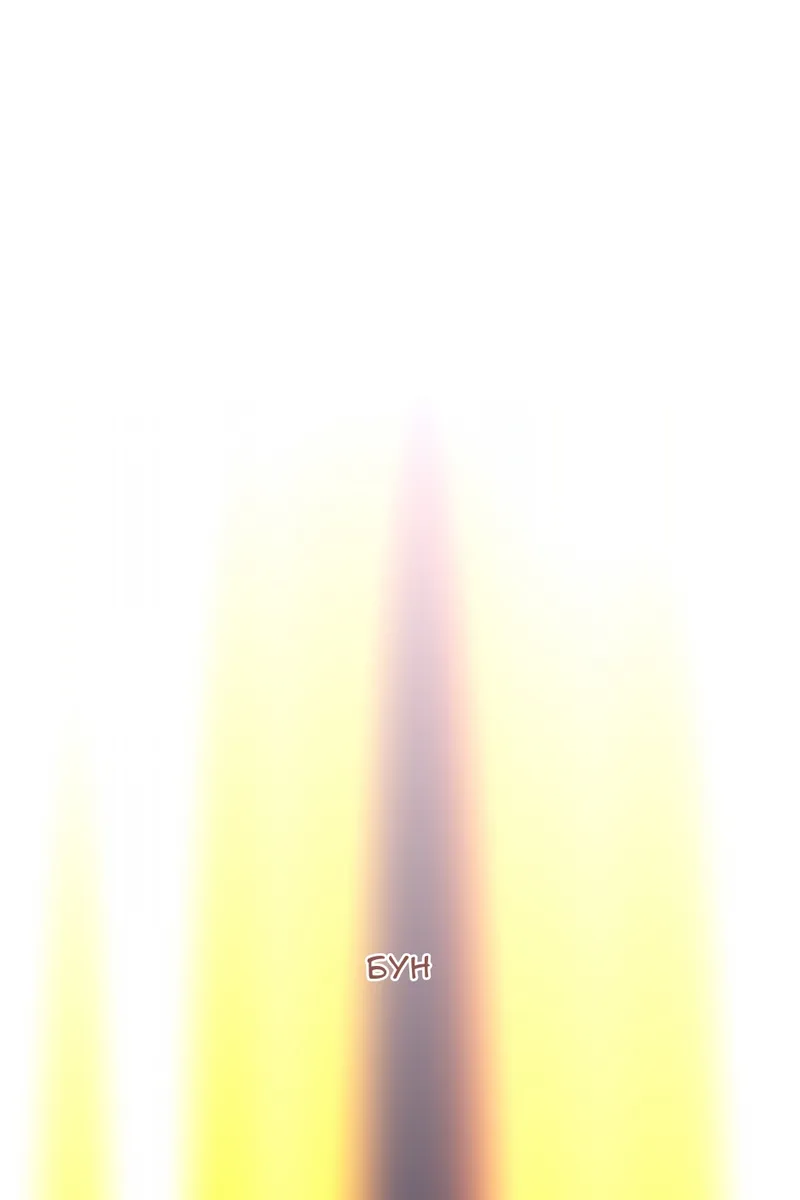 Сторінка 11