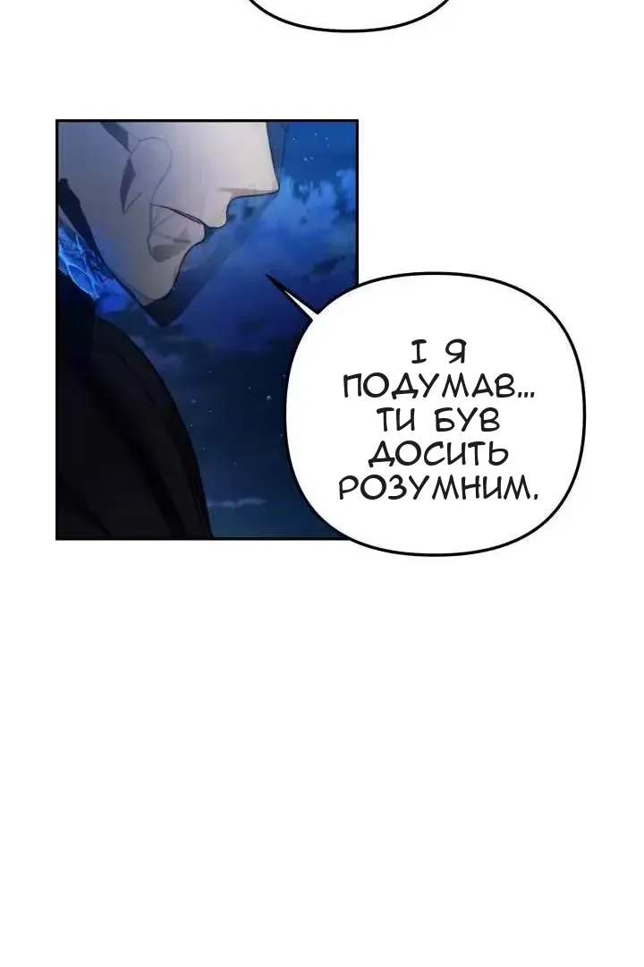 Сторінка 17