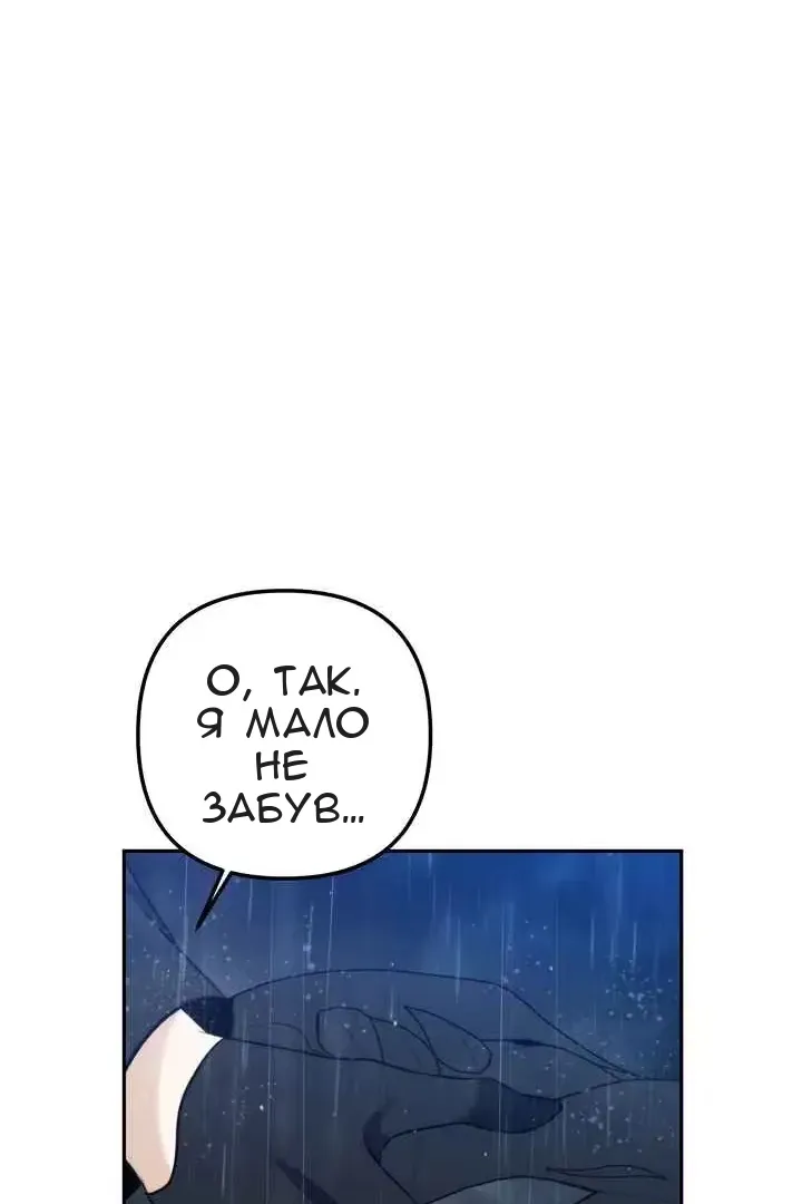 Сторінка 31