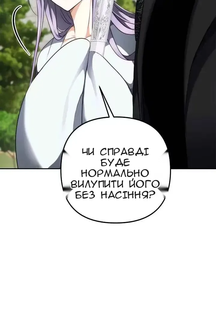 Сторінка 47