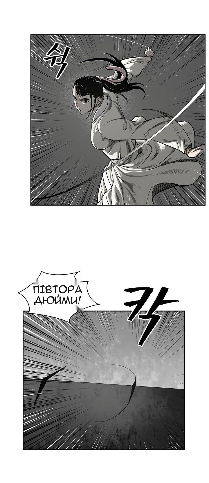 Сторінка 29