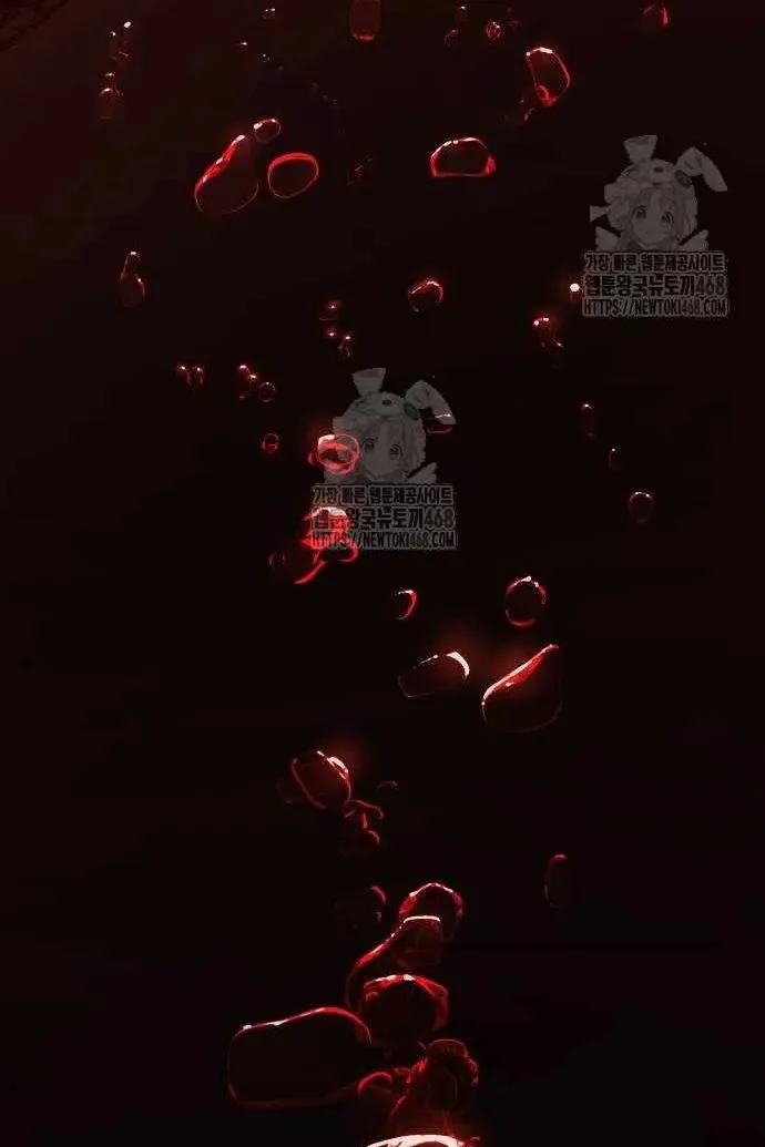 Сторінка 41