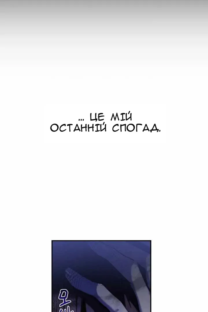 Сторінка 31