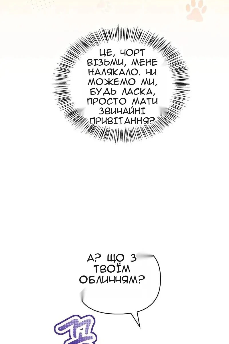 Сторінка 47