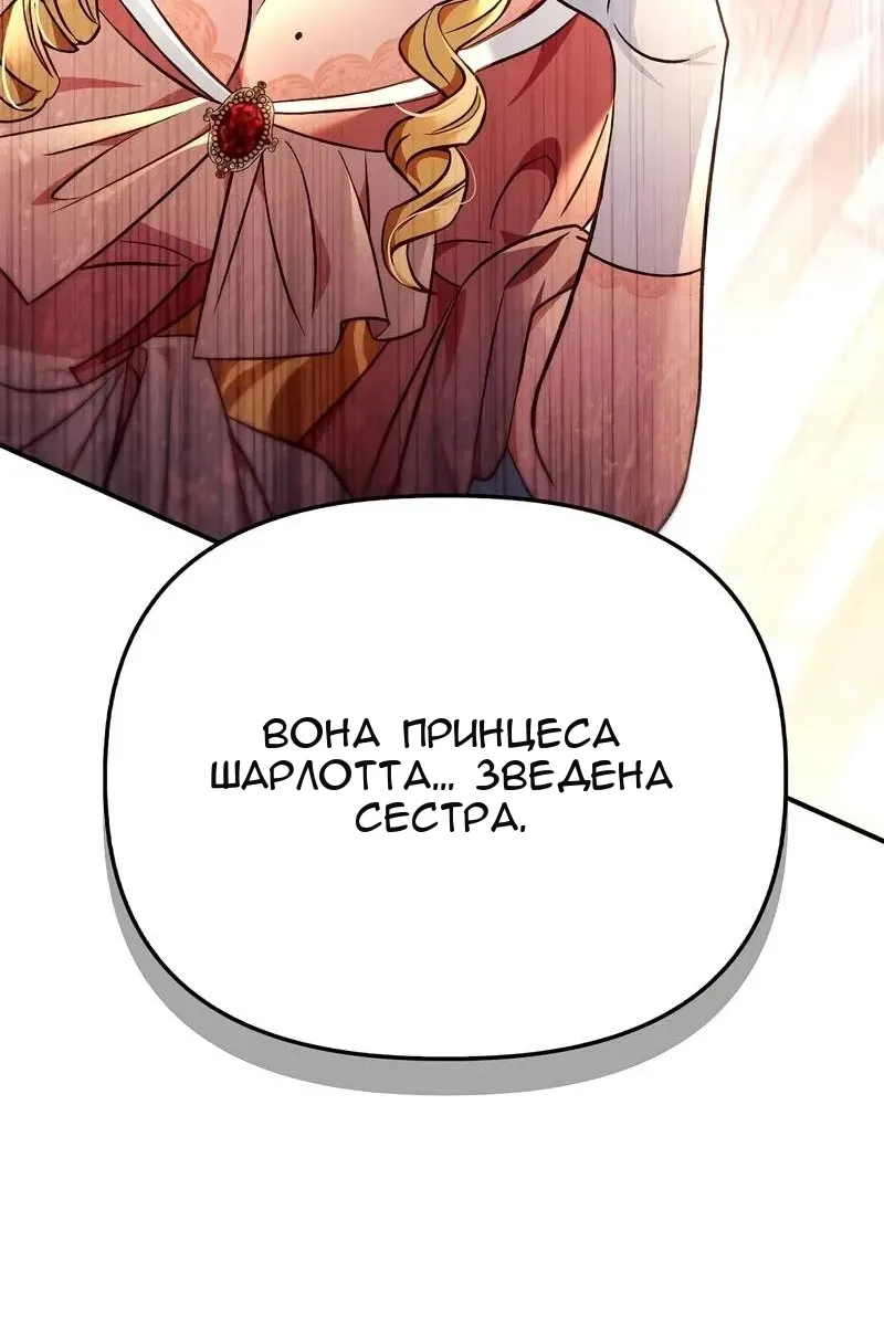 Сторінка 29